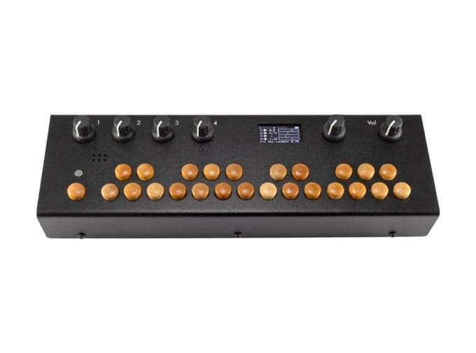 Critter & Guitari product