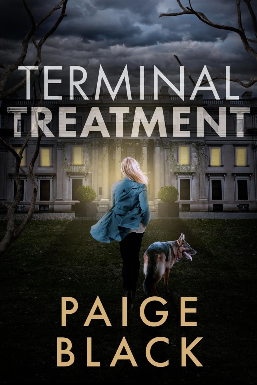 OW149 Colonial Chair